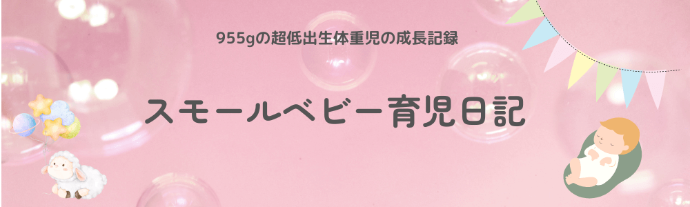 スモールベビー育児日記